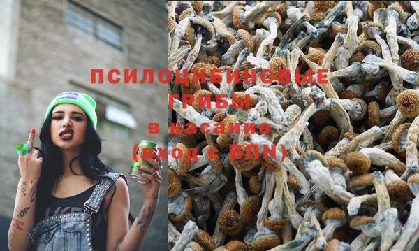 таблы Волоколамск