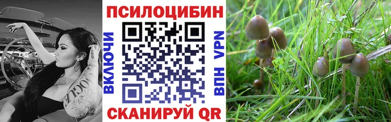 Купить где  Морозовск  Галлюциногенные грибы ЛСД 